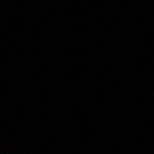 Meet your Posher, Dee